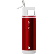 ALPINE - Flip 'N Sip w/straw 20oz-Ruby Red