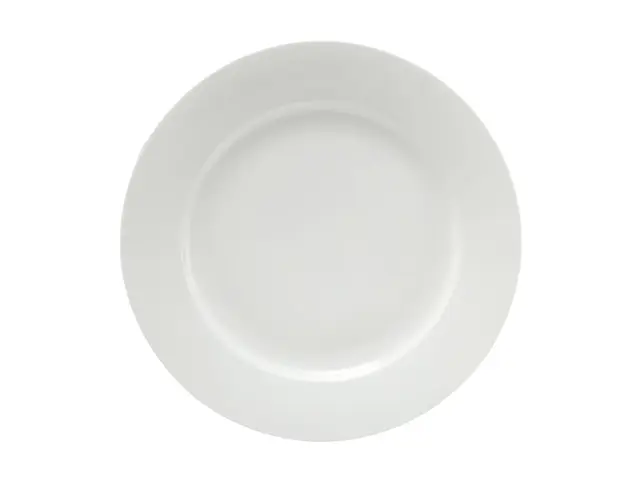 WBA0130 Rim Dinner Plate