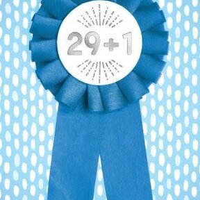 363-MLST0030B ABD30-30TH Blue Ribbon