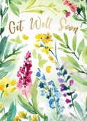 *GW/Floral Watercolor