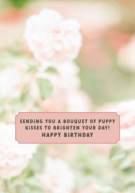 BD/Puppies in Basket