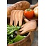 28152 Bear Claw Salad Server Set-2Piece