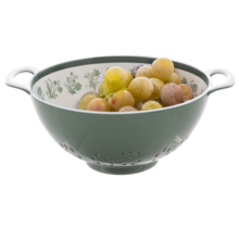 CB201876 Green Botanical Melamine Berry Bowl