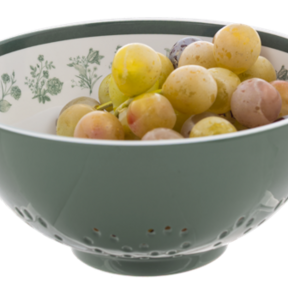 CB201876 Green Botanical Melamine Berry Bowl