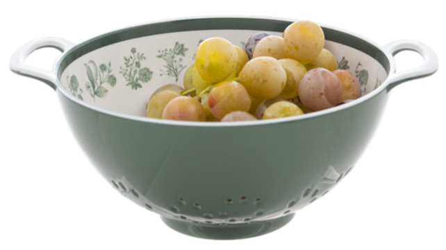 CB201876 Green Botanical Melamine Berry Bowl