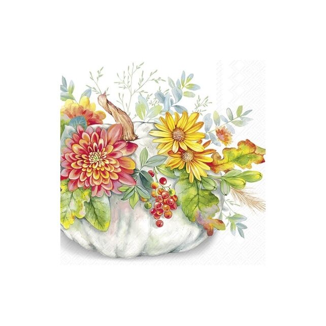 C1080490 Cocktail Napkin-Cucurbita-white