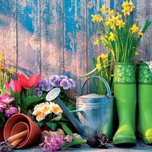 BD-Planting
