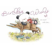 BD-Bear in Barrow