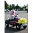 BD-Driving Dog