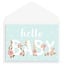 *NB/Hello Baby