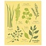 Ecologie by Danica 2000146 Swedish DC-Les Fines Herbs