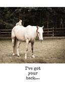 EN/Unlikely Friends