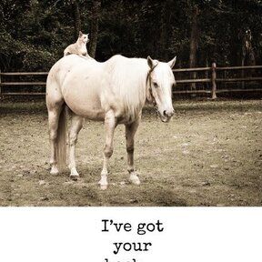 EN/Unlikely Friends