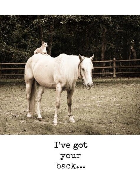 EN/Unlikely Friends