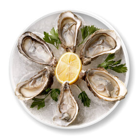 76650 Melamine Oyster Plate