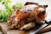 5769 Poultry Pop-Up Timer