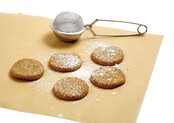 NP3568 Sugar and Flour Duster
