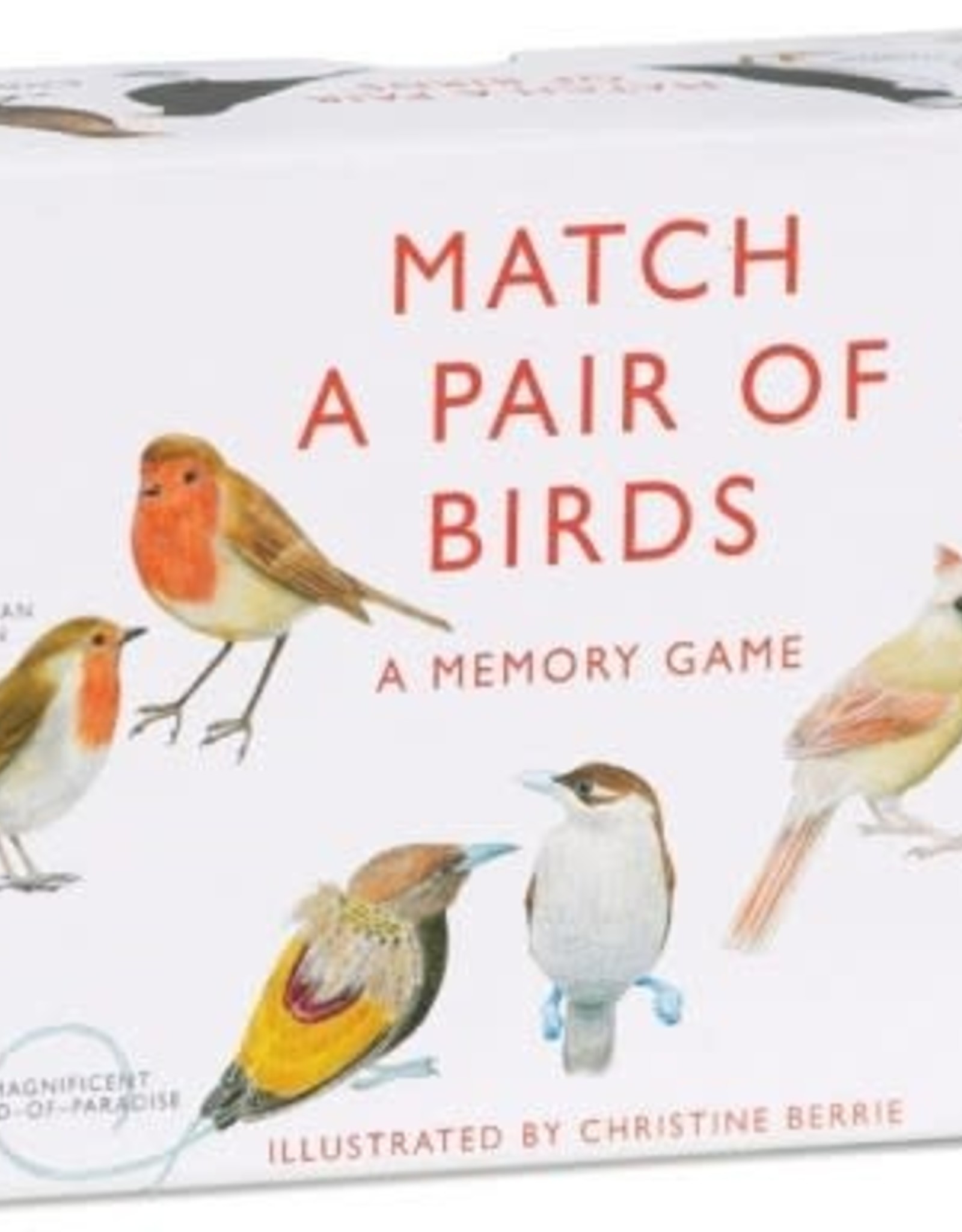 Match a Pair of Birds Game