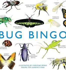 Game - Bingo Bug