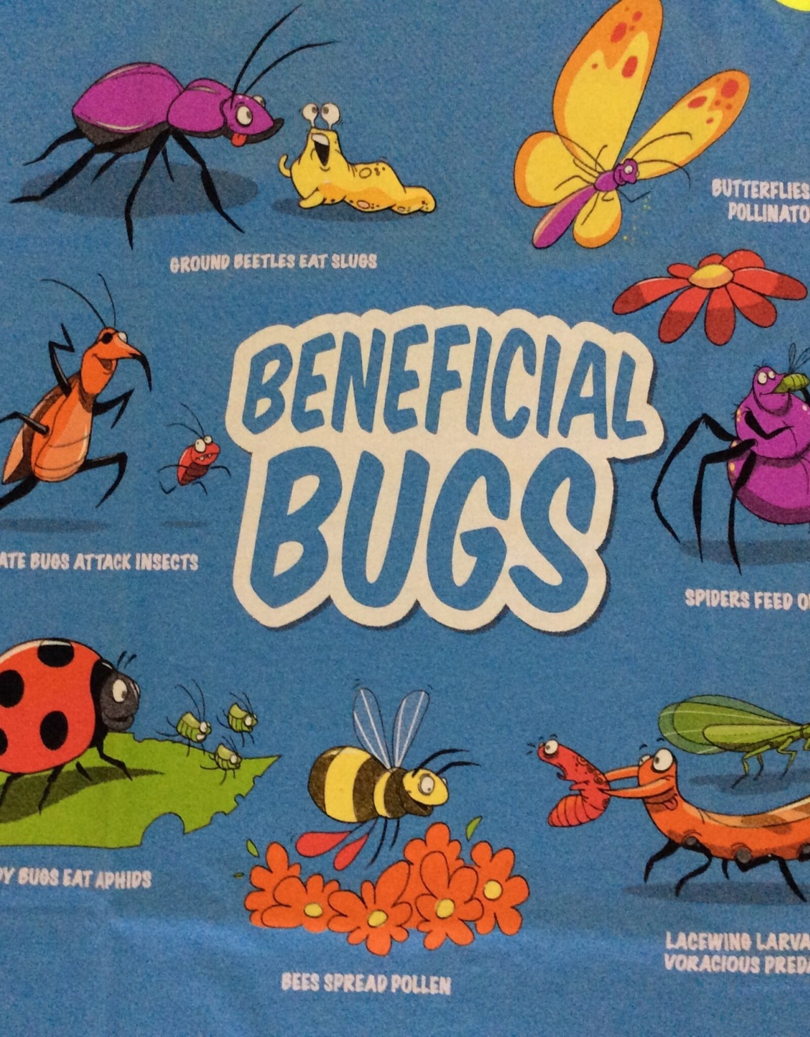 T-Shirt -  Youth Beneficial Bugs