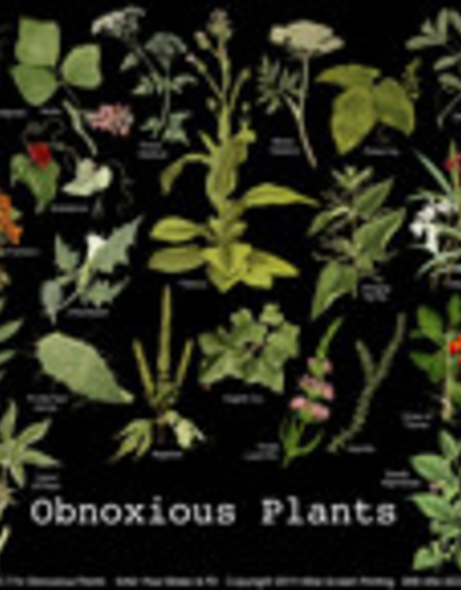 T-Shirt - Obnoxious Plants