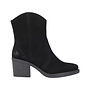 Y1251-00 HEELED ANKLE BOOT ZIPPER (INES)