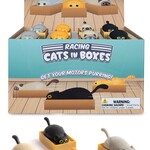 Accoutrements/Archie McPhee Racing Cats In Boxes