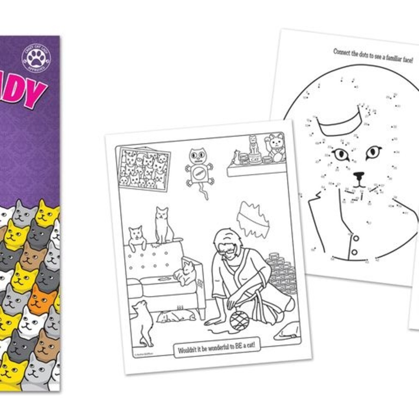 Novelty Crazy Cat Lady Coloring Book
