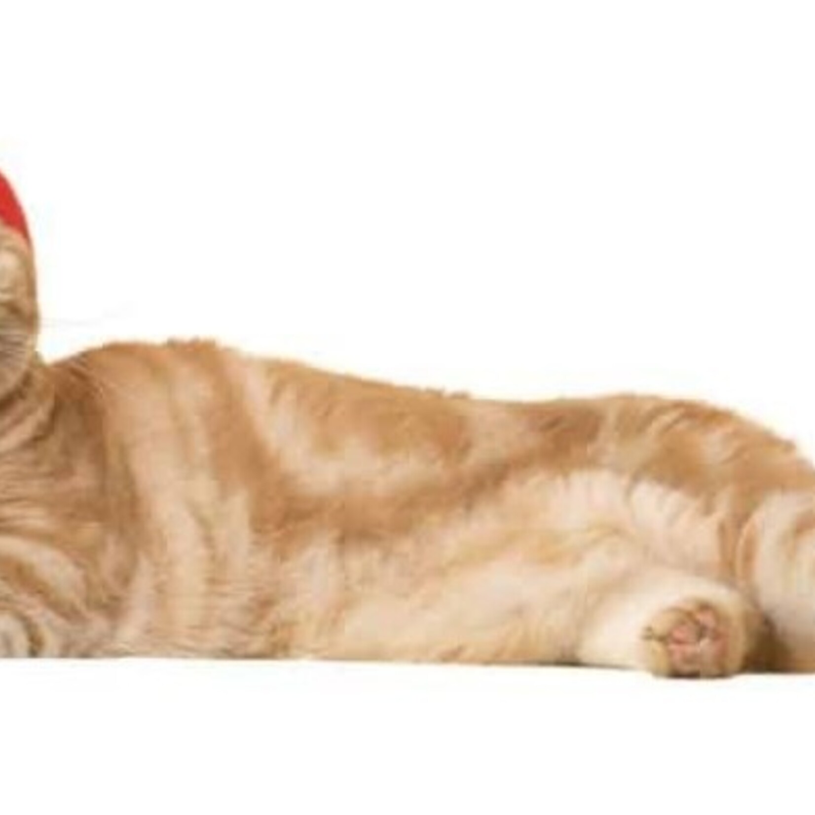 Clever Idiots KITAN CLUB: Cat Cap Fruit Blind Box