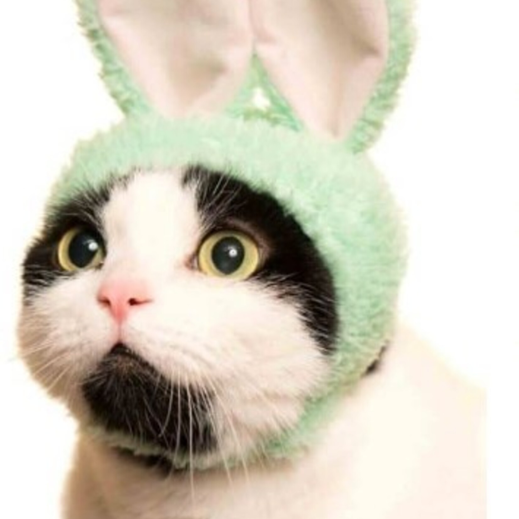 Clever Idiots Cat Cap Rabbit Blind Box