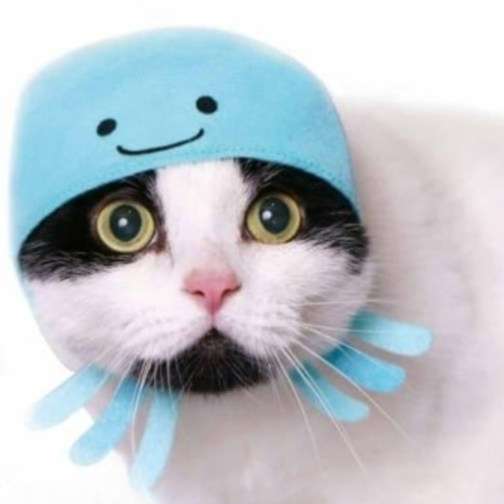 Clever Idiots Cat Cap  Blind Box (Aquarium Vol. 2)