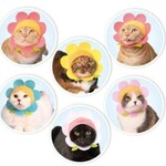 Clever Idiots Cat Cap Flowers Blind Box