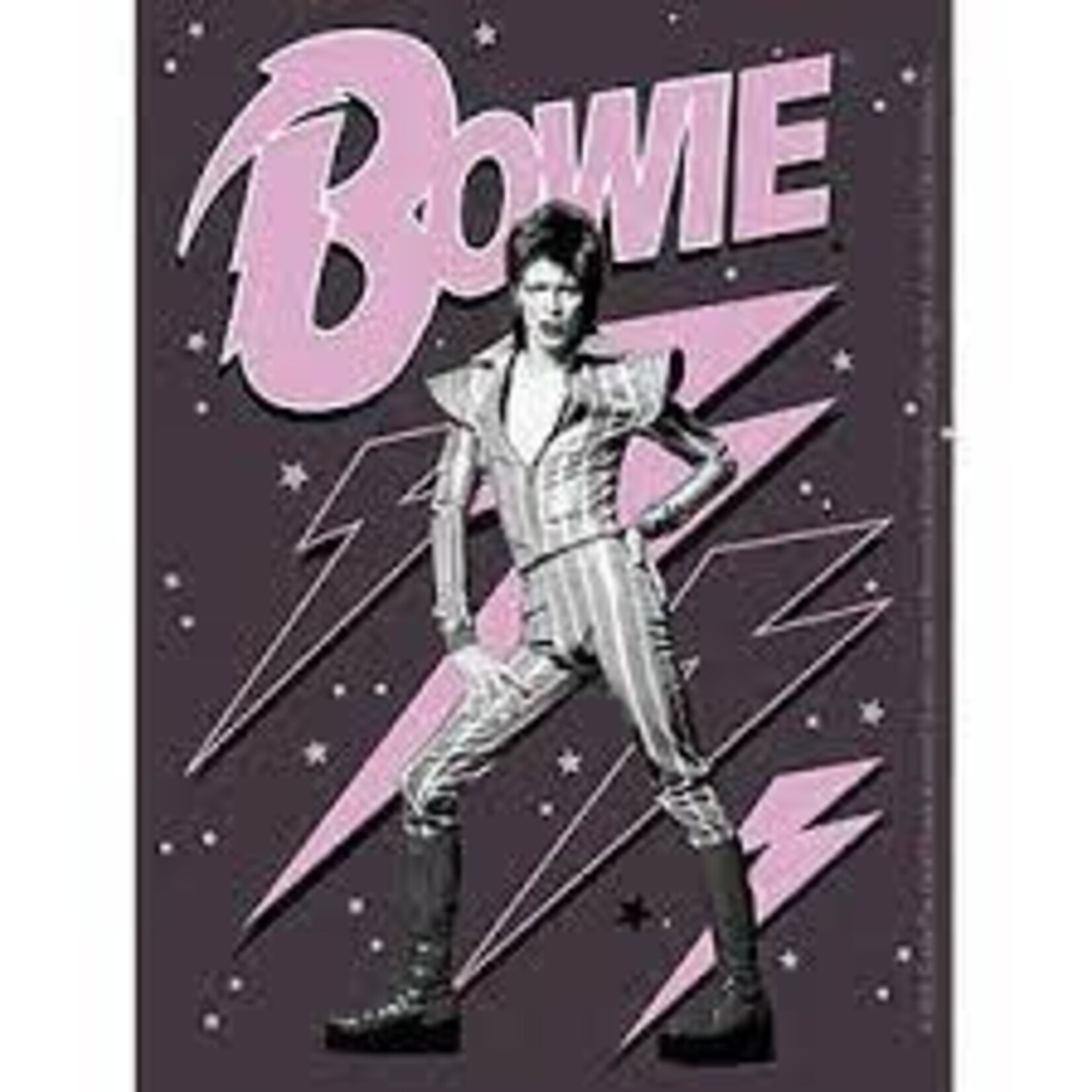 C&D Visionary Inc. Bowie Pink Bolts Sticker