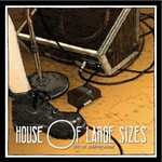 House of Large Sizes “Idiots Out Wandering Around” LP Vinyl