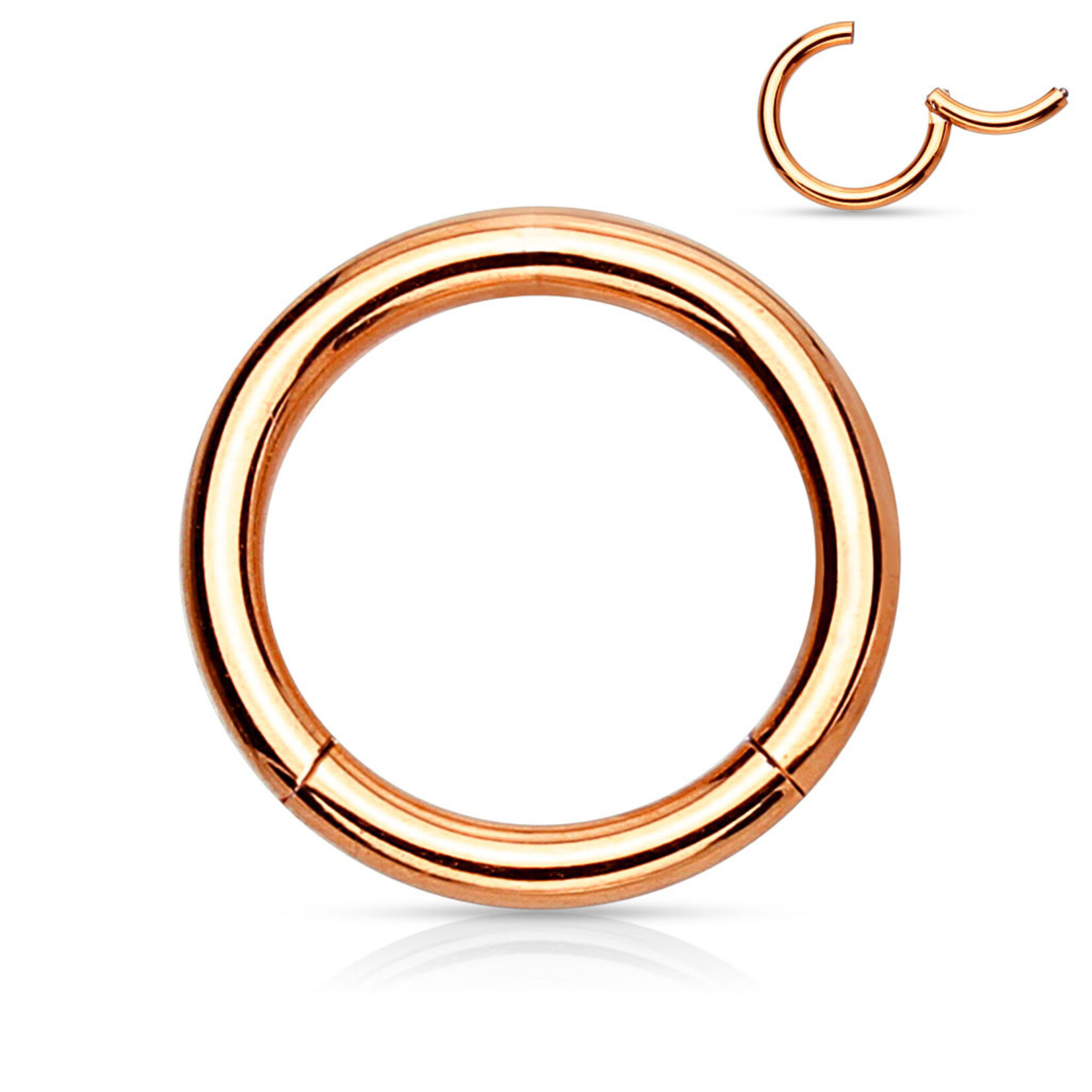 Hollywood Body Jewelry Titanium Hinged Hoop