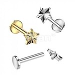 Hollywood Body Jewelry Titanium Diamond Cut Star Labret