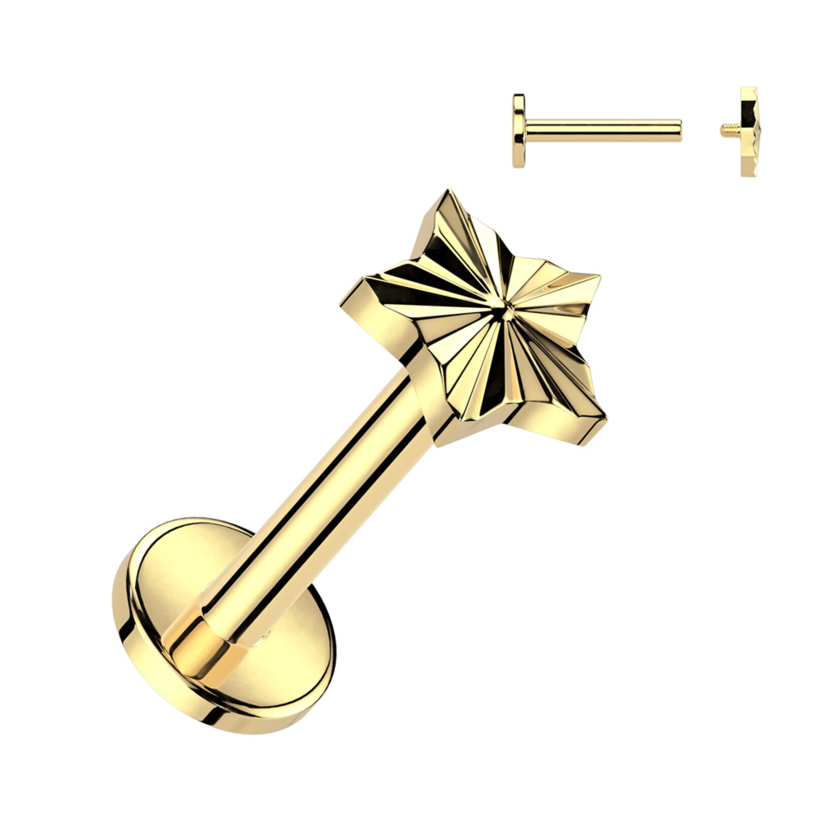 Hollywood Body Jewelry Titanium Diamond Cut Star Labret