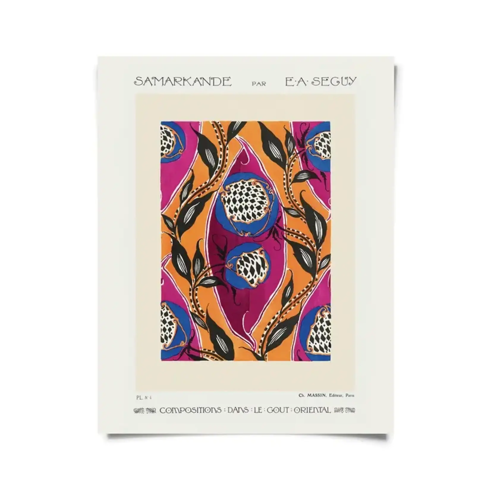 Curious Prints Vintage Botanical Samarkande Plate 4 Print 8x10 1-B062