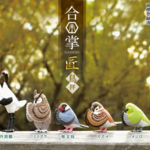 BCmini Wishing Birds Blind Box  70759