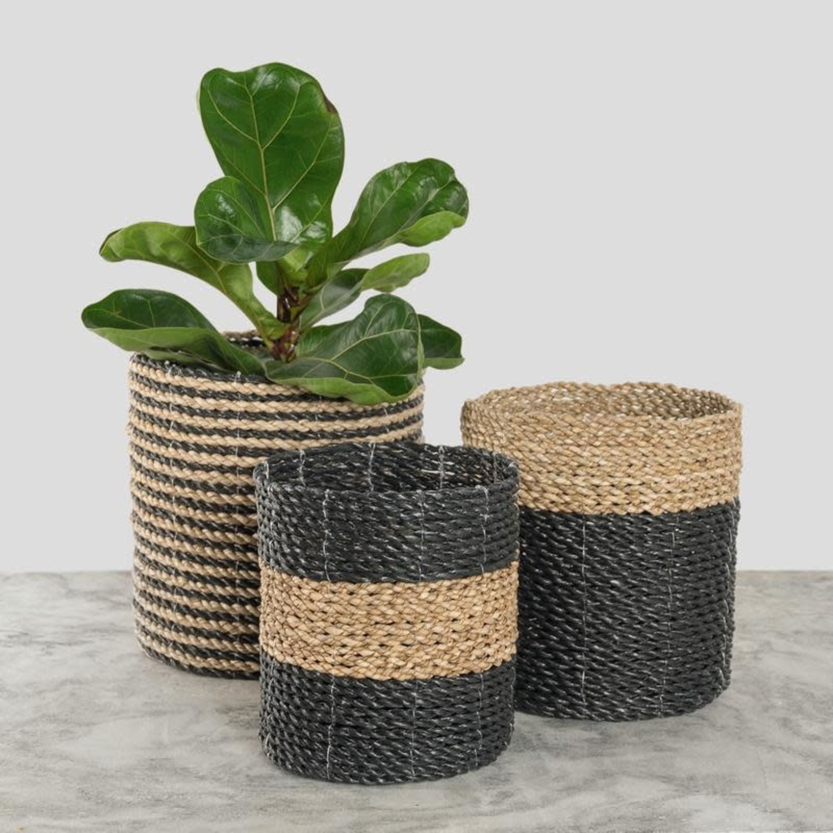 Pokoloko Plant Basket- Black/Natural