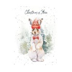 Hopper Hopper Christmas Cards