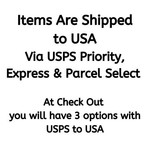 HOW ITEMS ARE SHIPPED TO USA?