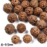 8~9.5mm Natural Rudraksha Seeds, approx 100pcs, sienna brown, hole 1.2mm, 26gms/0.92oz