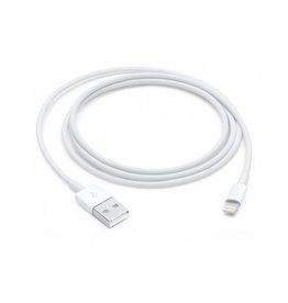 Apple Inst. Lightning to USB Cable (1m)