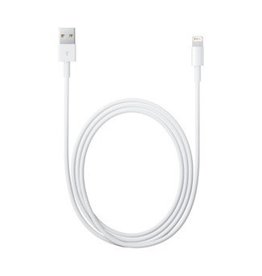 Apple Inst. Lightning to USB Cable (2m)