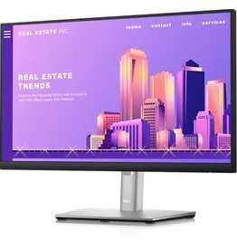 Dell (Inst.) Dell 22" Monitor - P2225H