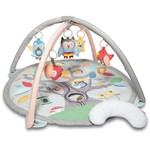 Skip Hop Treetop Friends Activity Gym - Grey/Pastel