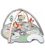 Skip Hop Treetop Friends Activity Gym - Grey/Pastel