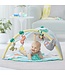 Skip Hop TROPICAL PARADISE ACTIVITY GYM & SOOTHER