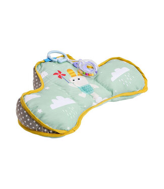 Taf Toys Developmental Pillow